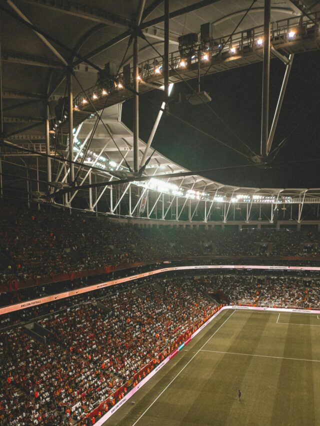 Equilibrio entre intelecto y emoción.