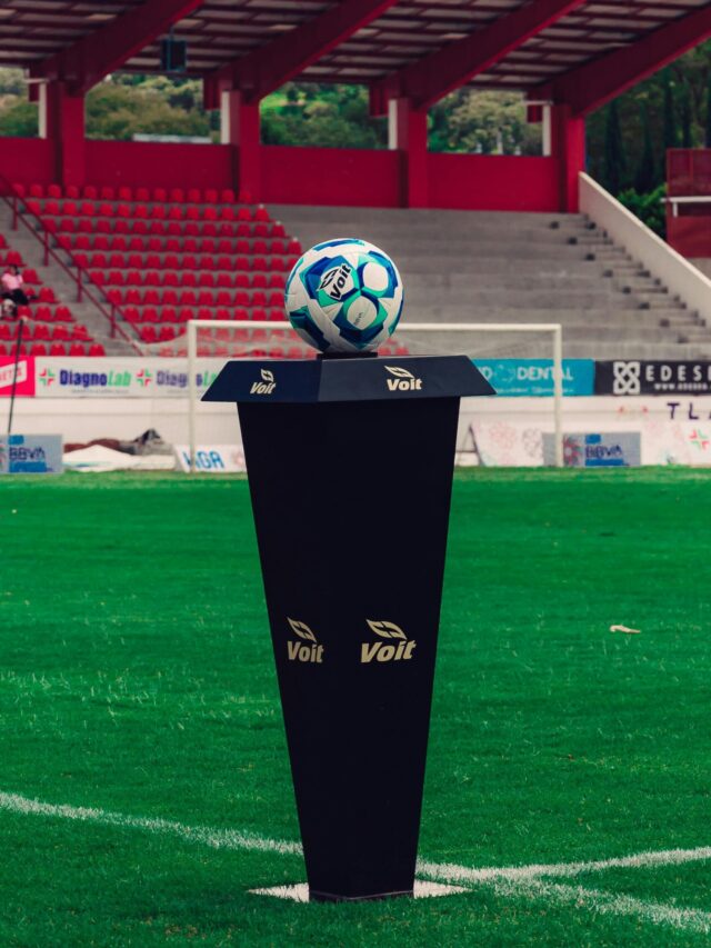 Desarrollo Profesional.