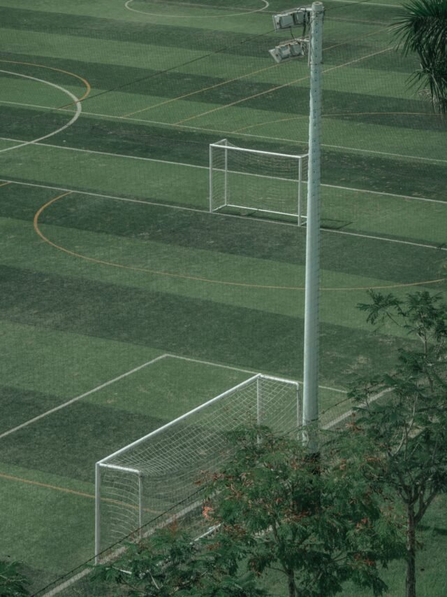 Simulación.