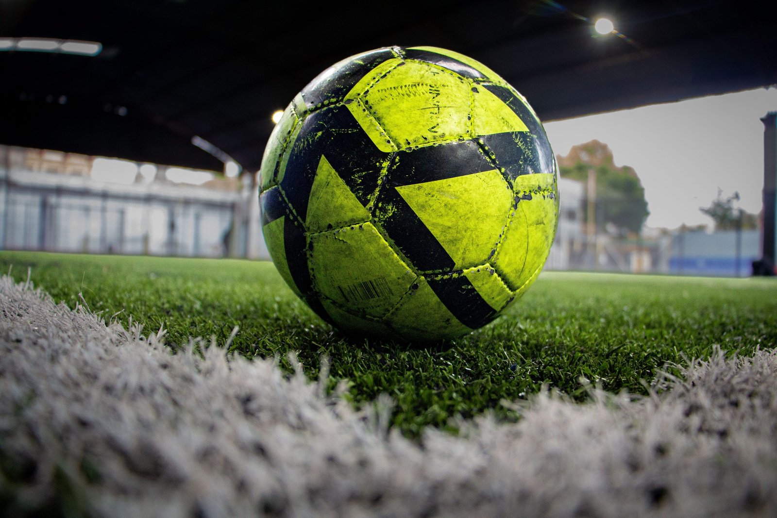 Tu primer entrenador.