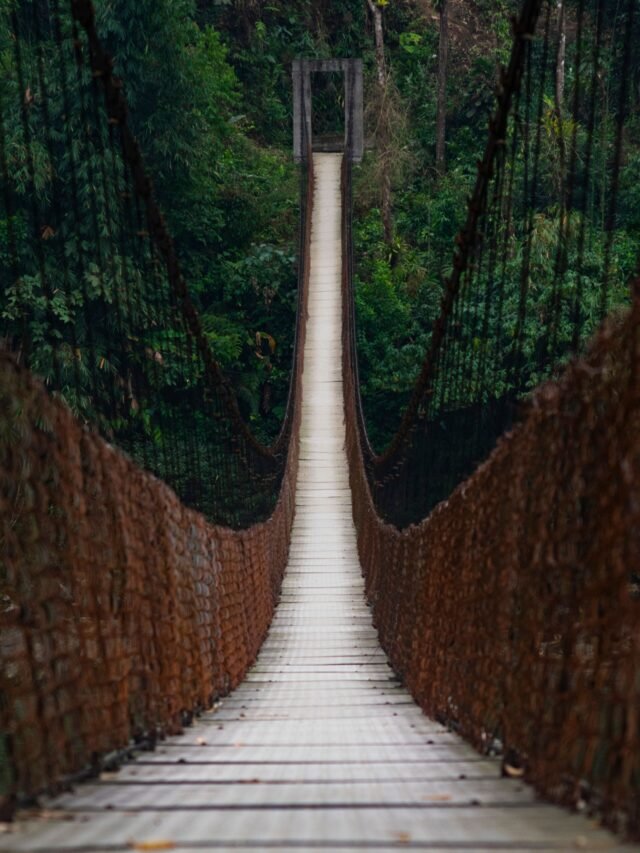 Transición.